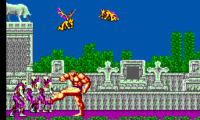 Altered Beast (USA, Europe)