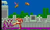 Altered Beast (USA, Europe)