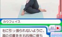 Anata Dake no Private Lesson – DS de Hajimeru Tipness no Yoga (Japan)