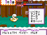Animal Breeder 4 (Japan)