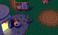 Animal crossing (Doubutsu no Mori)