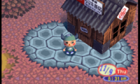 Animal crossing (Doubutsu no Mori English)