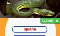 Animal Genius (Europe) (En,Fr,De,Es,It,Nl,Sv,No,Da)