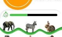 Animal Genius (USA)