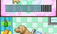 Animal Paradise (USA) (En,Fr,Es)