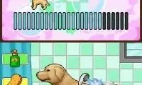 Animal Paradise (USA) (En,Fr,Es)