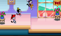 Animaniacs (Europe)