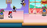 Animaniacs (Europe)