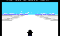 Antarctic Adventure