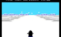 Antarctic Adventure