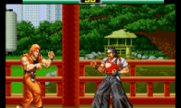 Art of Fighting (Europe)