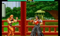 Art of Fighting (Europe)