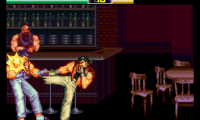 Art of Fighting (USA)