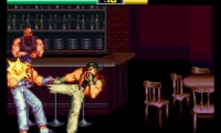 Art of Fighting (USA)