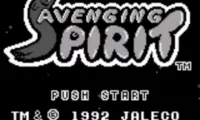 Avenging Spirit (USA, Europe)