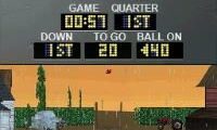 Backyard Football ’09 (USA)