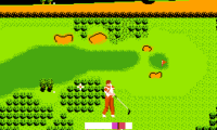 Bandai Golf – Challenge Pebble Beach (USA)