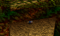 Banjo-Kazooie Randomizer