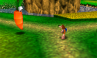 Banjo-Kazooie (USA) (Rev A)