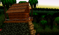 Banjo Kazooie X Donkey Kong Country