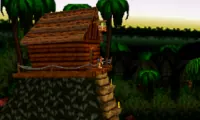 Banjo Kazooie X Donkey Kong Country