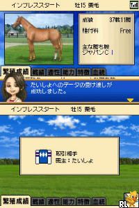 Banushi Life Game – Winner’s Circle (Japan)