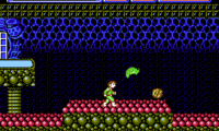 Bashi Bazook – Morphoid Masher (USA) (Proto)