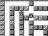Battle Bull (USA)