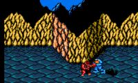 Battletoads changed colors