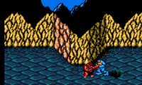 Battletoads changed colors