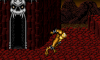 Battletoads in Battlemaniacs (Japan)