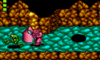 Battletoads (USA)