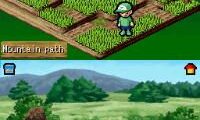 Beetle King (Europe)