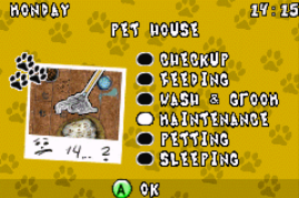 Best Friends – Dogs & Cats (U)(Sir VG)