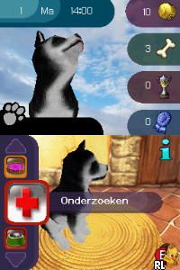 Best Friends – Mijn Honden en Katten (Netherlands) (En,Nl)