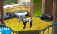 Best Friends – My Horse (E)(Lightforce)