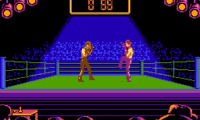 Best of the Best – Championship Karate (USA)