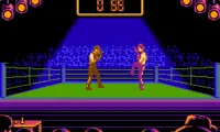 Best of the Best – Championship Karate (USA)