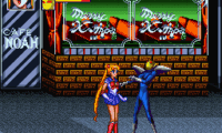 Bishoujo Senshi Sailormoon R (Japan)