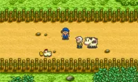 Bokujou Monogatari (Japan) (Rev A)