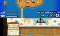 Bokujou Monogatari – KiraKira Taiyou to Nakama-tachi (Japan)