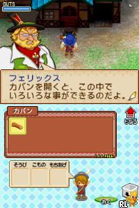 Bokujou Monogatari – Youkoso! Kaze no Bazaar e (Japan)