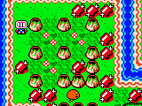 Bomberman Max – Ain Version (Japan)