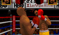 Boxing Legends of the Ring (USA)