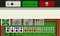 Bridge Training (Europe) (En,Fr,De,Es,It)