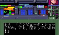 Bubblegum Crash! – Knight Sabers 2034 (Japan)