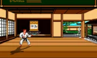 Budokan – The Martial Spirit (Europe)