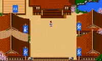 Budokan – The Martial Spirit (USA)