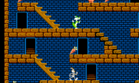 Bugs Bunny Crazy Castle, The (USA)