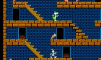 Bugs Bunny Crazy Castle, The (USA)